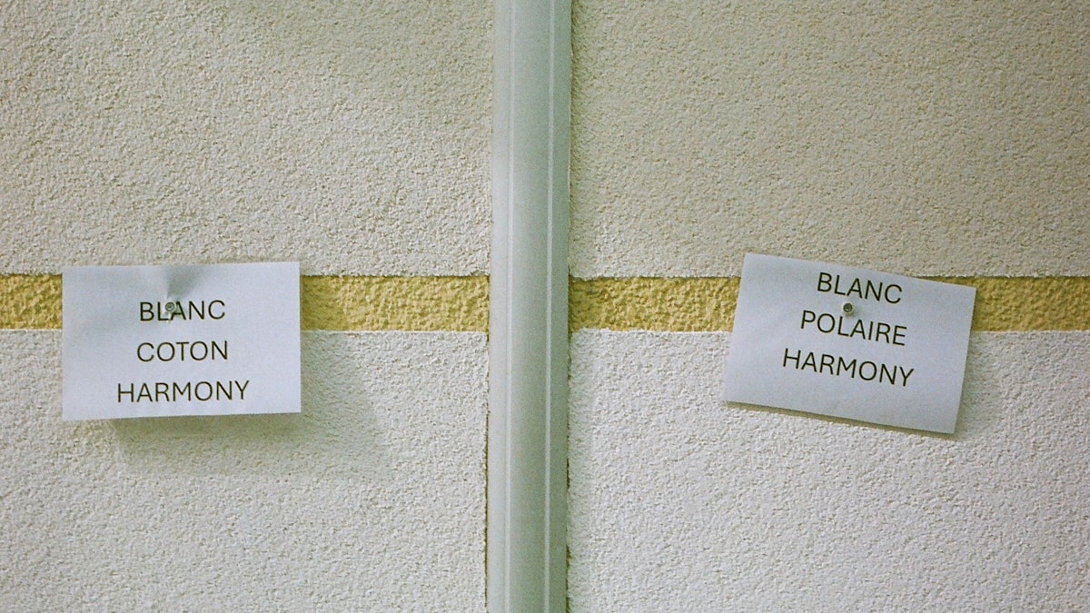 How to Choose the Right Color for Your Window Shades